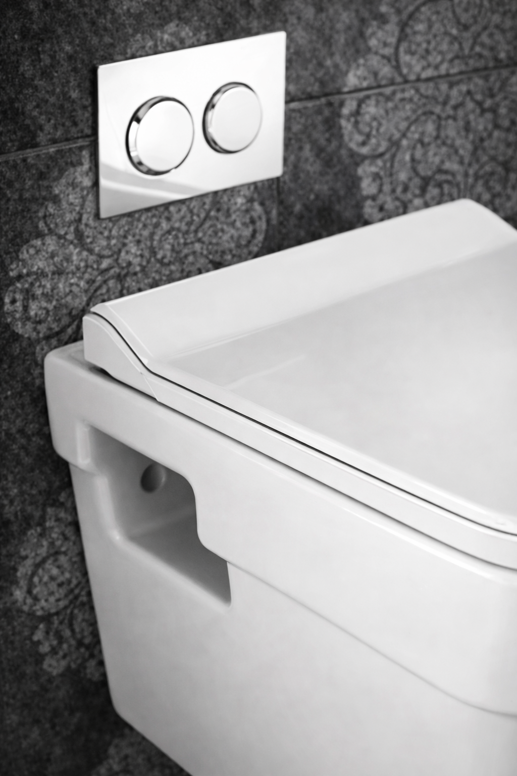 Wall Hung Western Toilet - Image 2